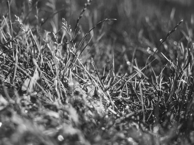 Harmonisez la compréhension et la gestion des talents à l'échelle de votre groupe grâce à un langage commun.