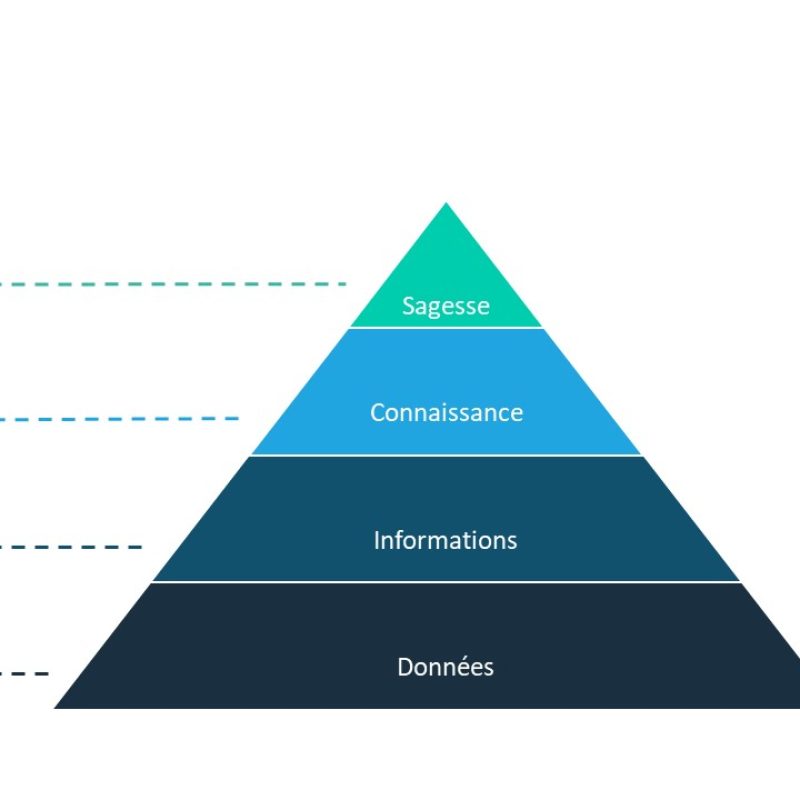 Prenez de meilleures décisions avec Gallup