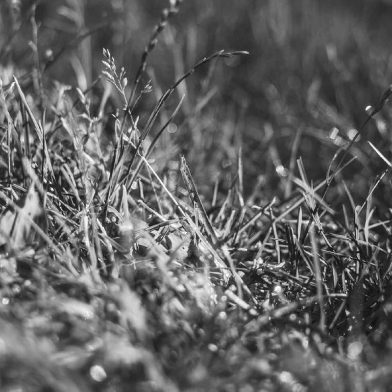 Harmonisez la compréhension et la gestion des talents à l'échelle de votre groupe grâce à un langage commun.