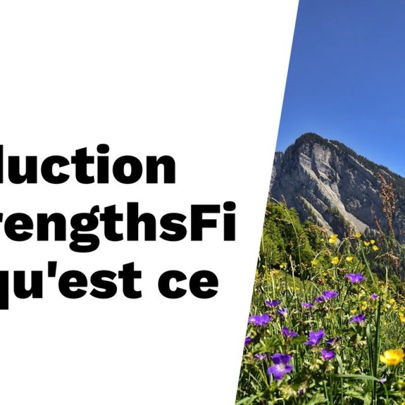 Introduction au CliftonStrengths : Qu&rsquo;est-ce que c&rsquo;est ?